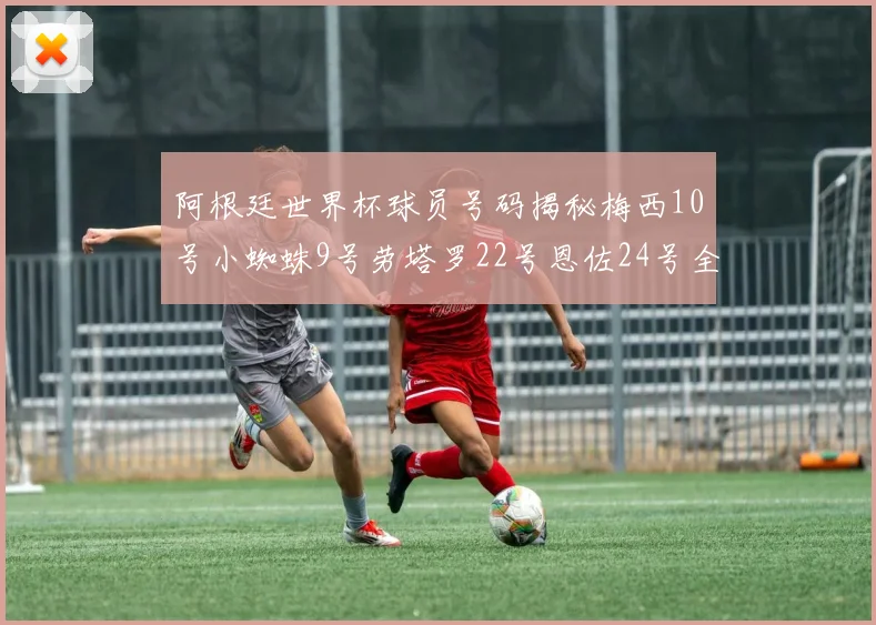 阿根廷世界杯球员号码揭秘梅西10号小蜘蛛9号劳塔罗22号恩佐24号全解析
